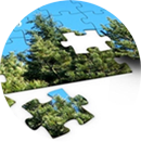 地理信息矢量數(shù)據(jù)