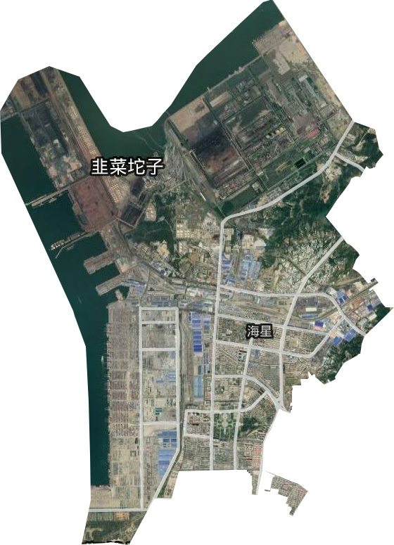 海星街道衛(wèi)星圖