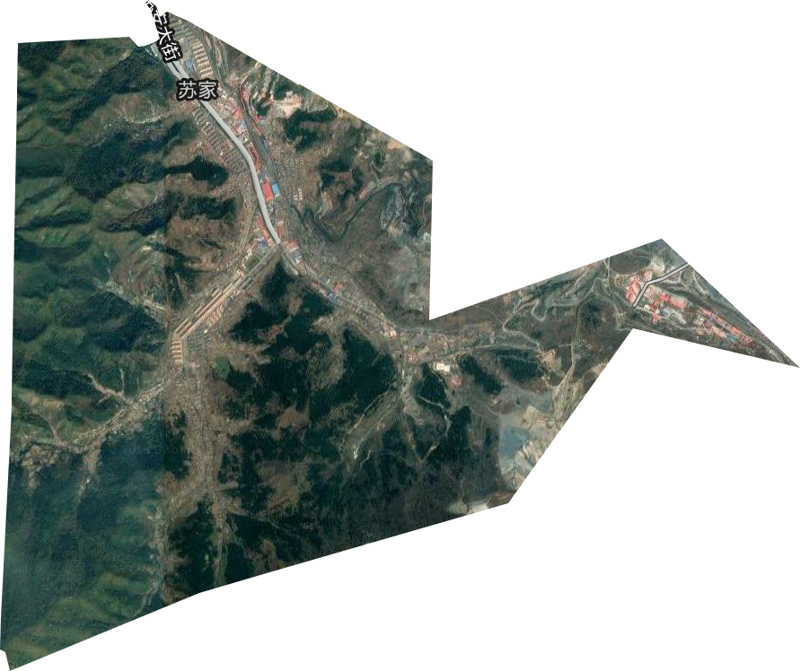 蘇家街道衛星圖