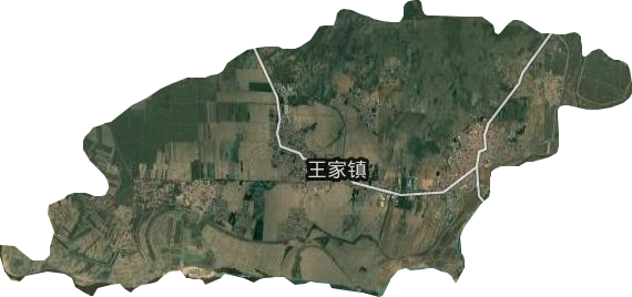 王家鎮衛星圖