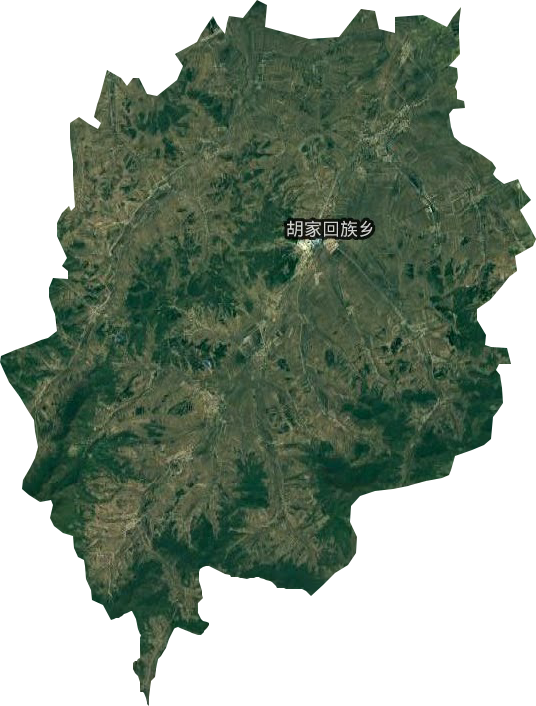 胡家回族鄉衛星圖