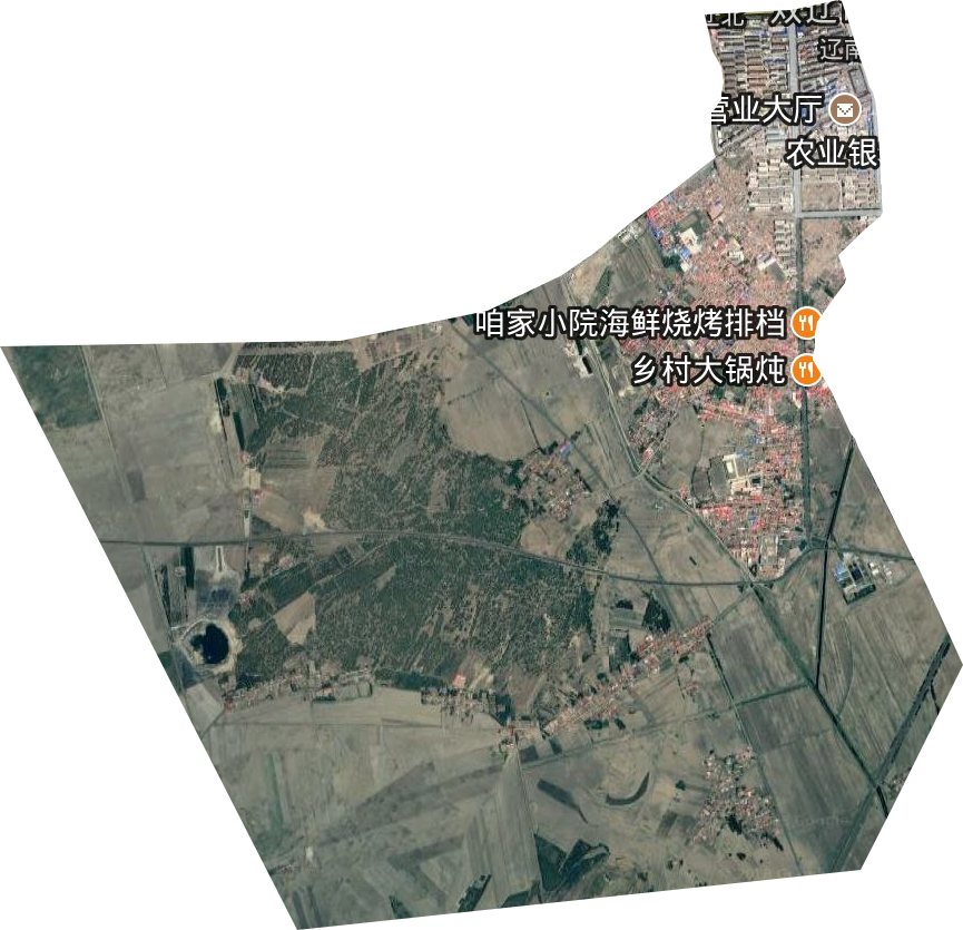 遼南街道衛星圖