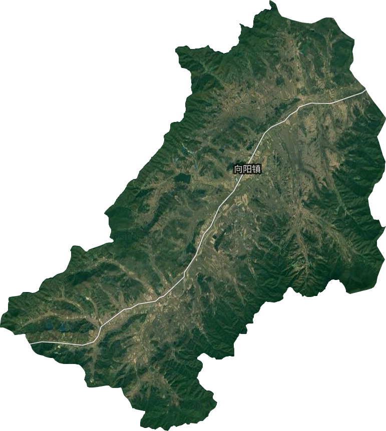 向陽鎮衛星圖