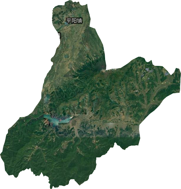 平陽鎮衛星圖