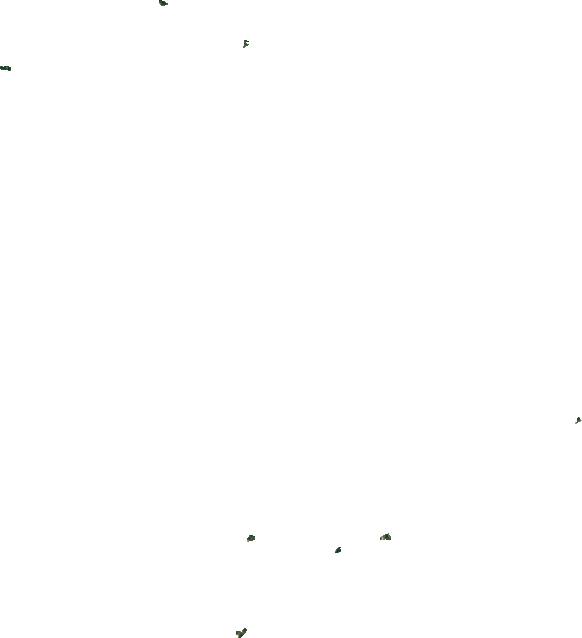 林業(yè)局衛(wèi)星圖