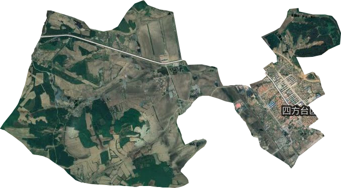 振興中路街道衛星圖