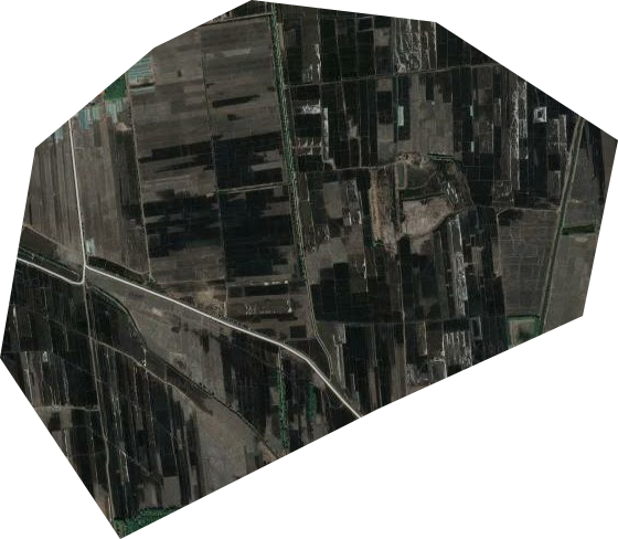 果樹示范場衛星圖