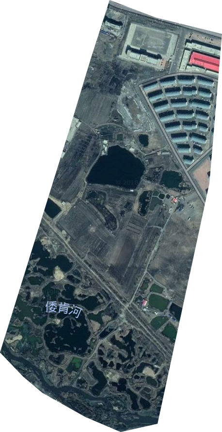 興城社區服務站衛星圖