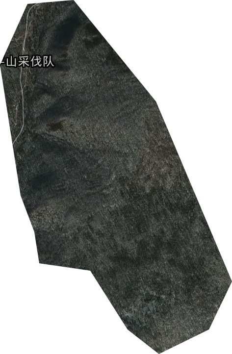 平山林場衛(wèi)星圖