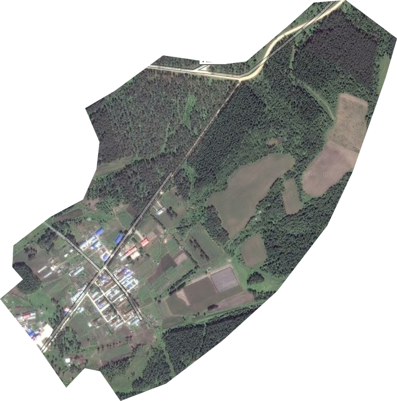 辰清林場衛星圖