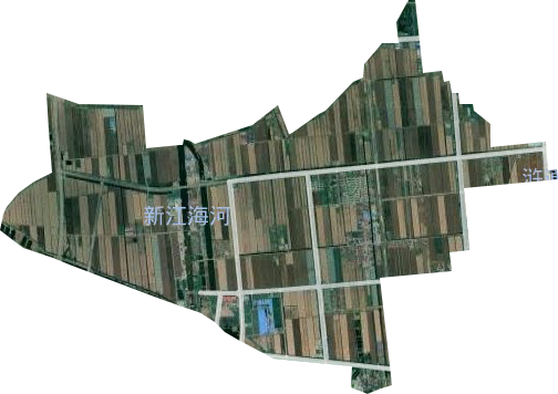 江蘇省國營江心沙農場衛星圖