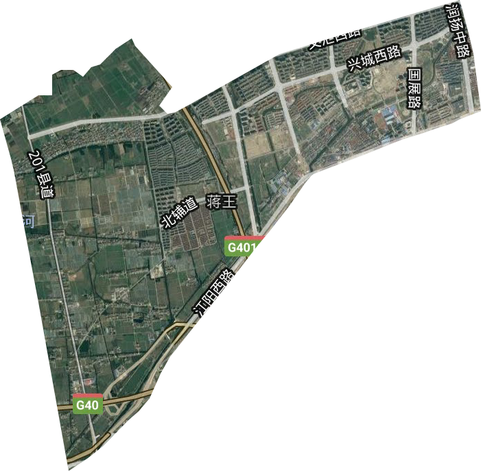 蔣王街道衛星圖