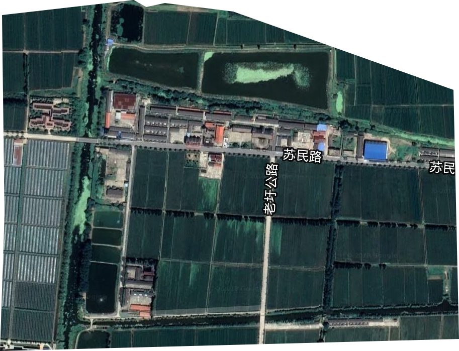 立新農場衛星圖