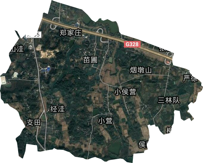 園藝試驗場衛星圖