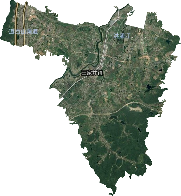 王家井鎮衛星圖