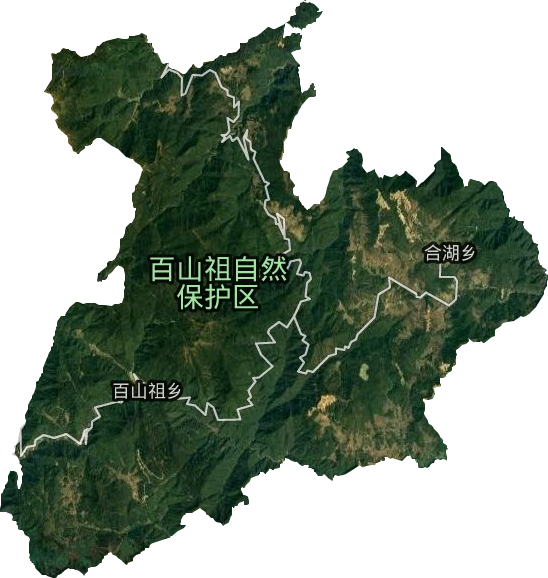 百山祖鎮(zhèn)衛(wèi)星圖