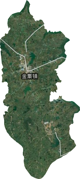 金集鎮衛星圖