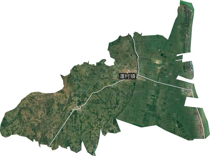 潘村鎮(zhèn)衛(wèi)星圖