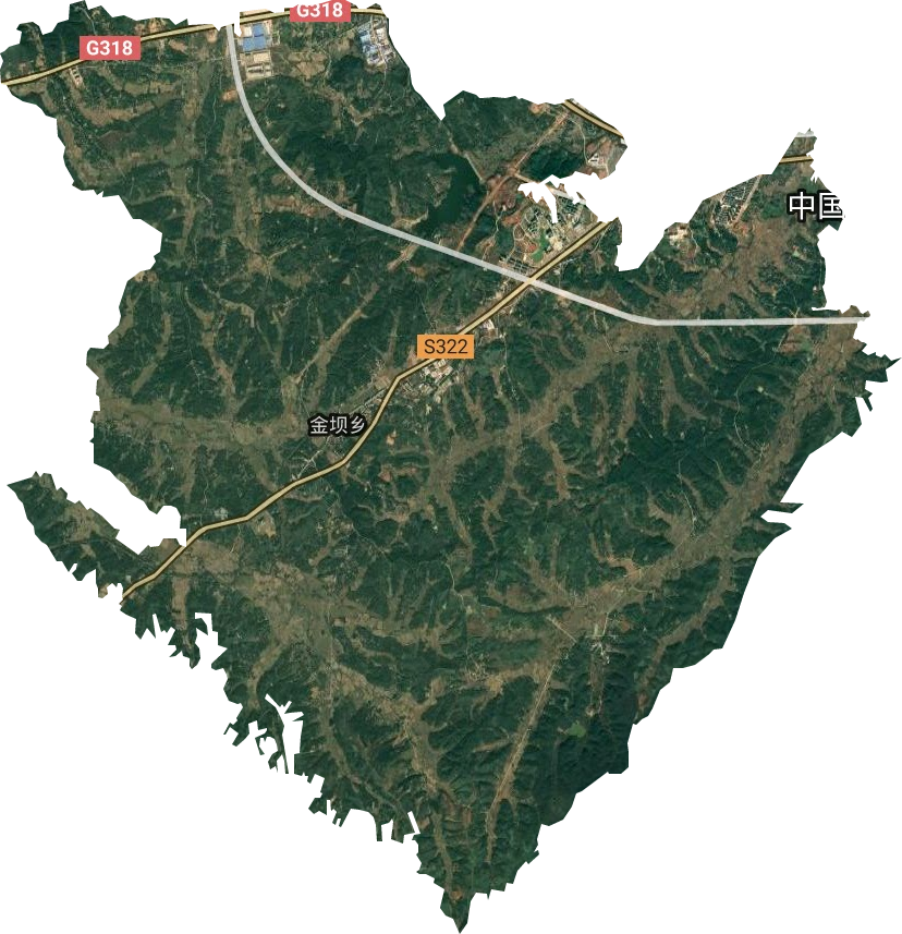 金壩街道衛星圖