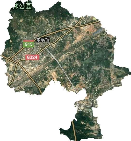 東孚鎮衛星圖