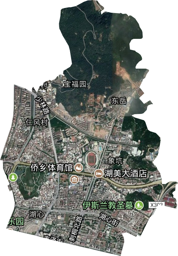東湖街道衛星圖