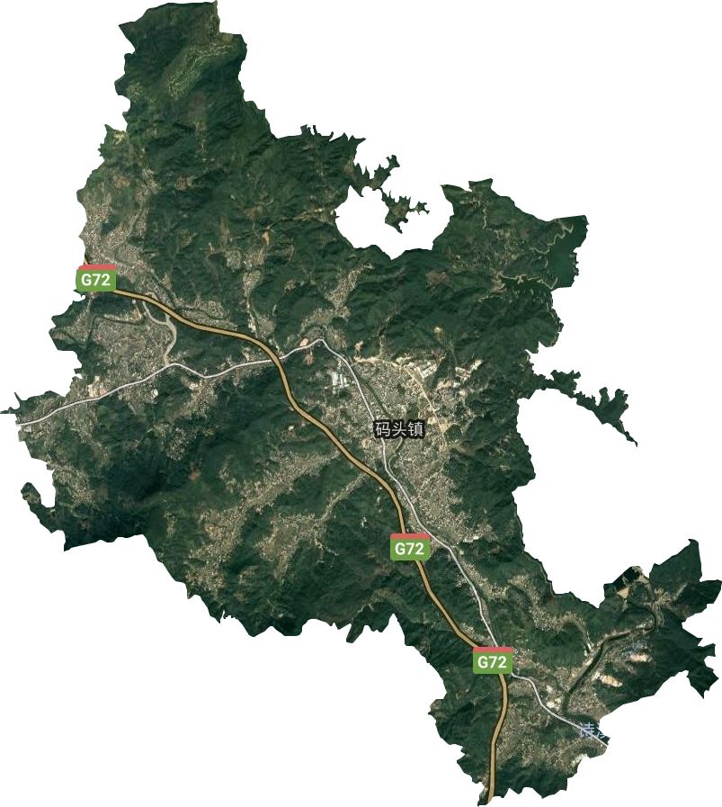 碼頭鎮衛星圖
