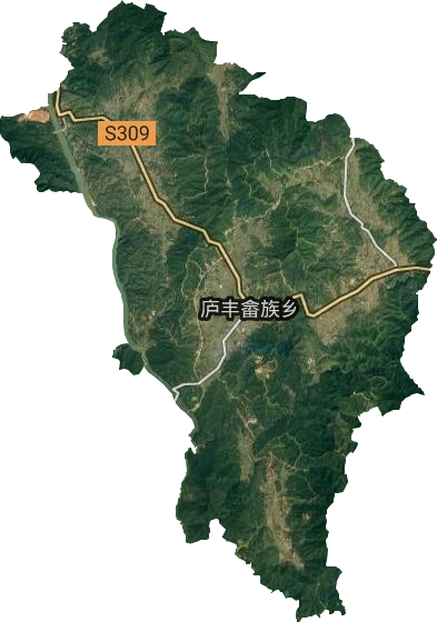 廬豐畬族鄉衛星圖