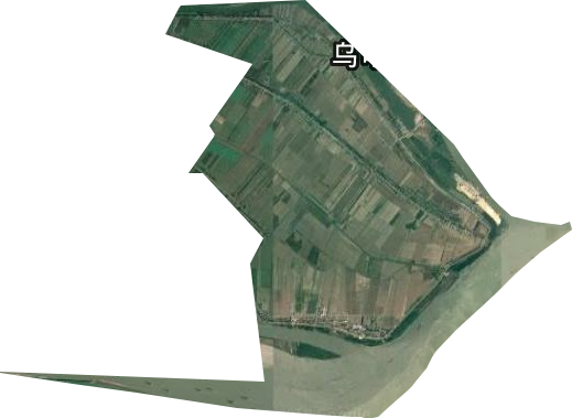 新洲墾殖場衛星圖