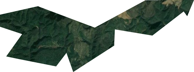 岷山林場衛星圖
