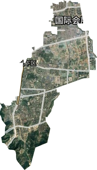 姚家街道衛星圖