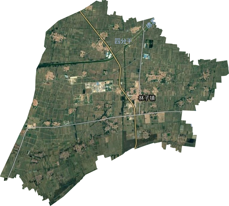 林子鎮衛星圖
