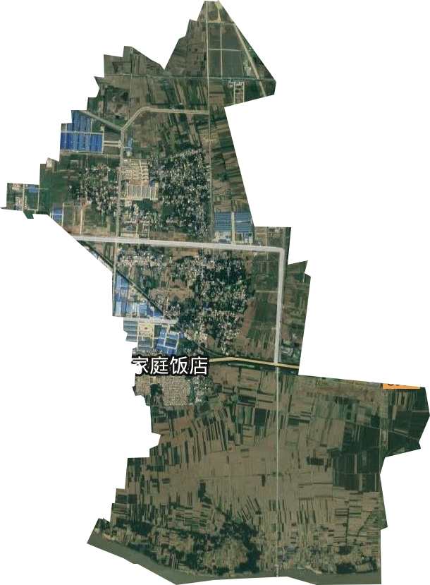桂花街道衛(wèi)星圖