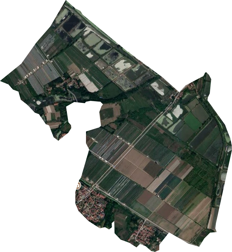 新洲原種場衛星圖