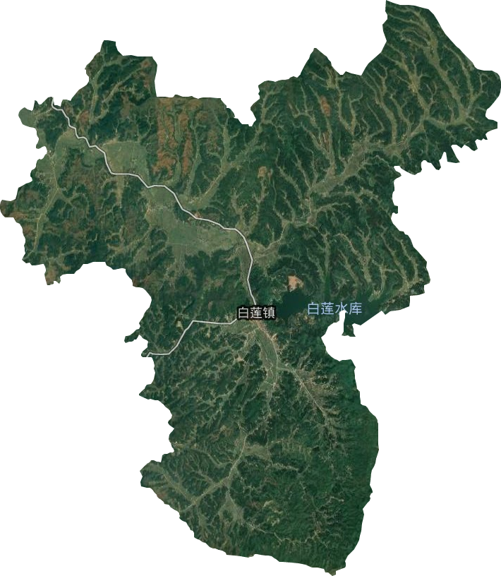 白蓮鎮衛星圖