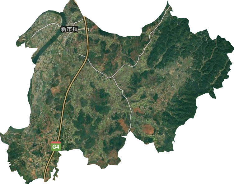 新市鎮衛星圖