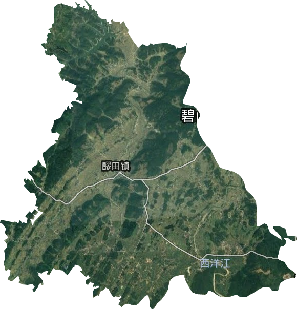 醪田鎮衛星圖