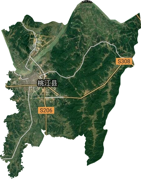 桃花江鎮衛星圖