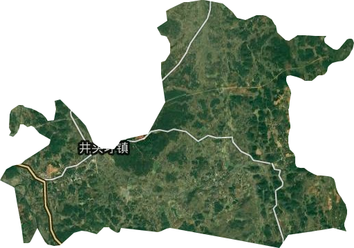 井頭圩鎮衛星圖
