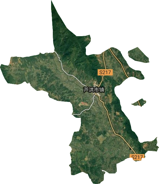 蘆洪市鎮衛星圖