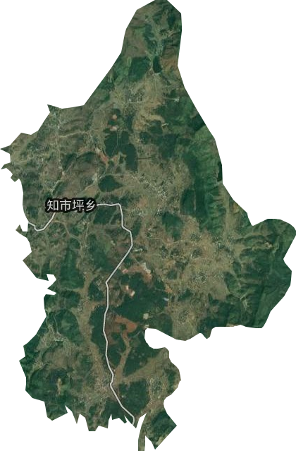 知市坪鄉衛星圖