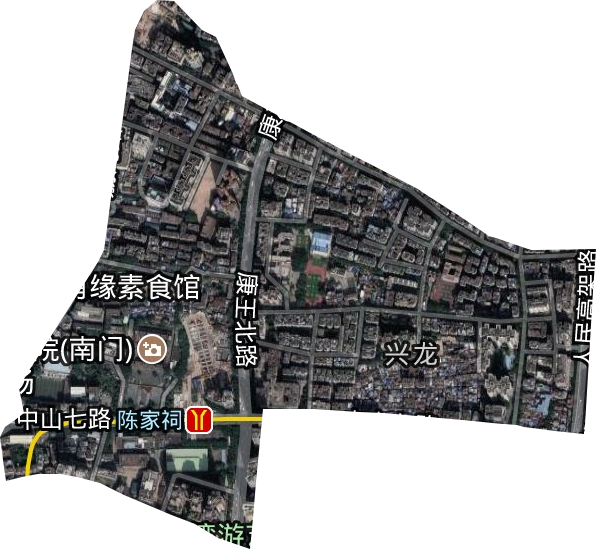 金花街道衛星圖