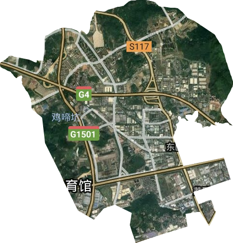 東區街道衛星圖