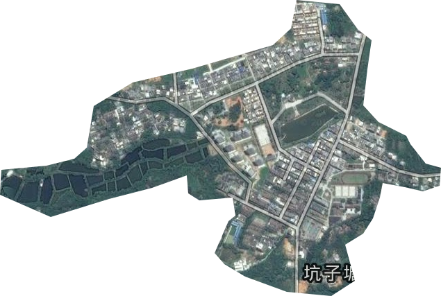 曙光農場衛星圖