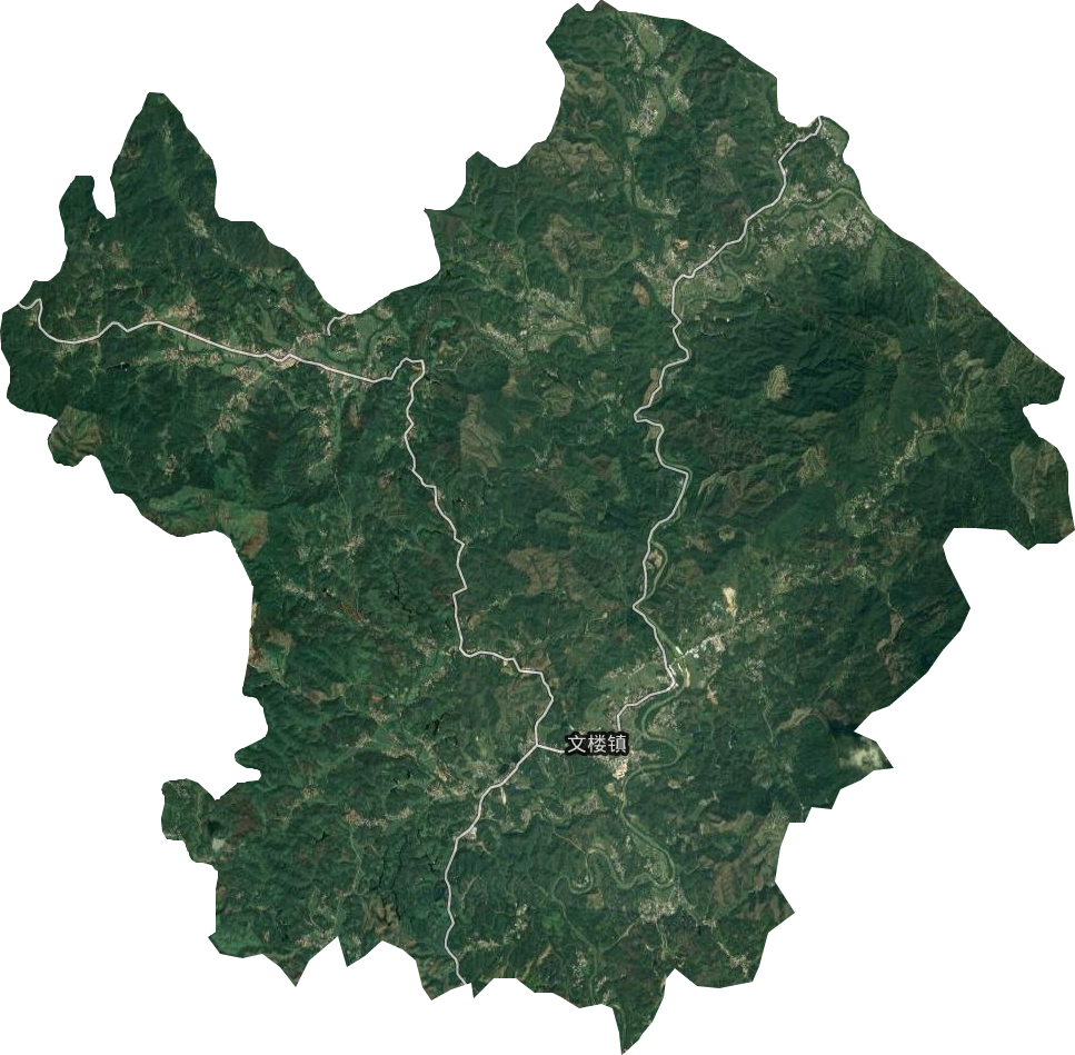 文樓鎮(zhèn)衛(wèi)星圖