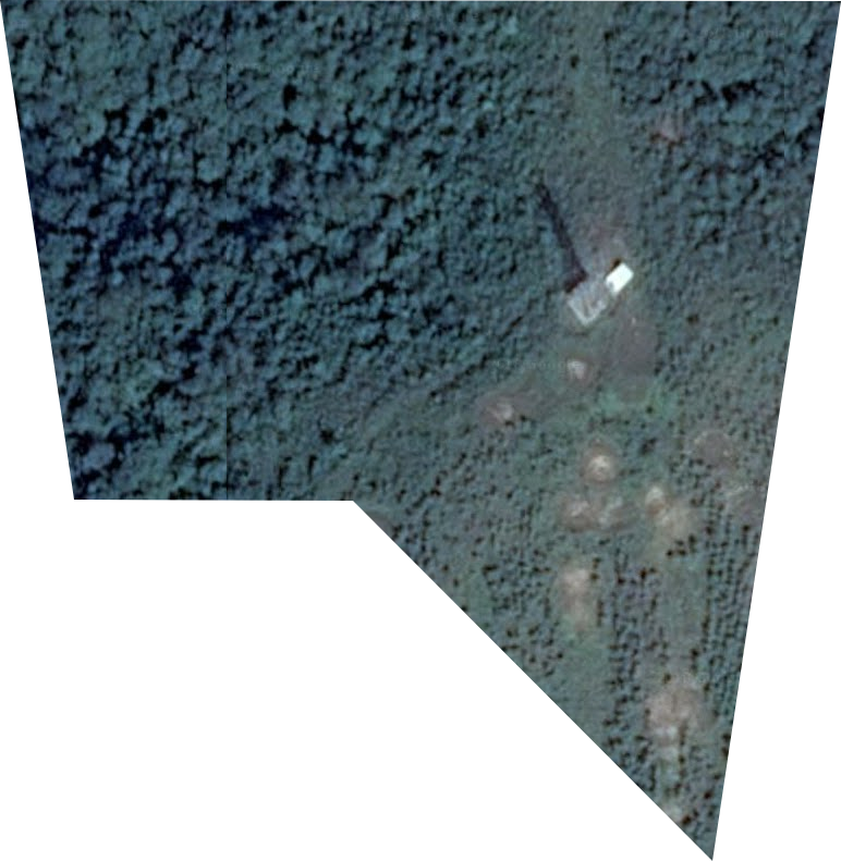 和平農場衛星圖