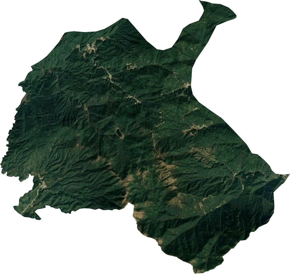 禾洞農(nóng)林場(chǎng)衛(wèi)星圖