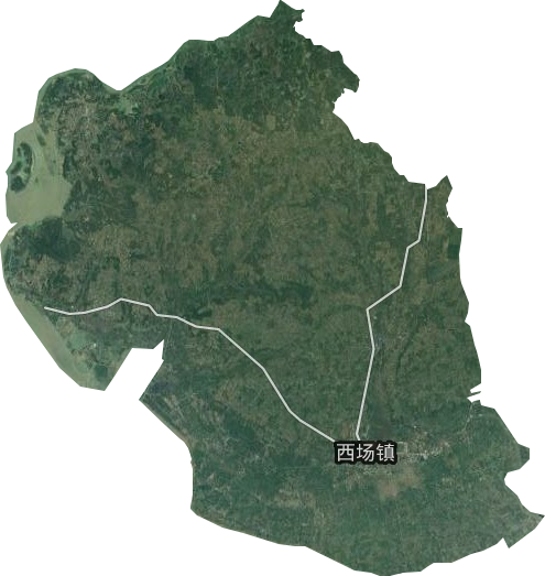 西場鎮(zhèn)衛(wèi)星圖