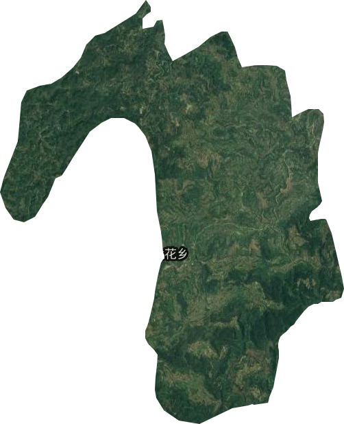 金花鄉(xiāng)衛(wèi)星圖