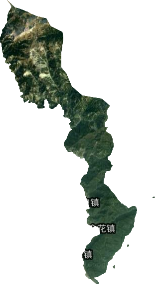 金花鎮衛星圖