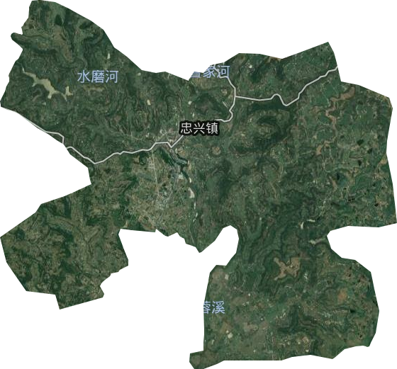 忠興鎮(zhèn)衛(wèi)星圖